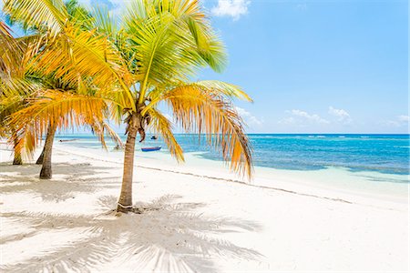 Mano Juan, Saona Island, East National Park (Parque Nacional del Este), Dominican Republic, Caribbean Sea. Photographie de stock - Rights-Managed, Code: 879-09021024