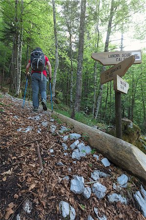 simsearch:879-09021337,k - Europe, Italy, Friuli Venezia Giulia, Claut, province of Pordenone. Hiker walking on the path to Landre Scur cave Foto de stock - Con derechos protegidos, Código: 879-09021065