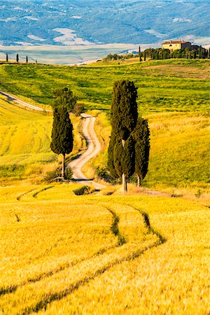 simsearch:879-09034337,k - Rolling Hills in Orcia valley, Tuscany district, Siena province, Italy, Europe. Fotografie stock - Rights-Managed, Codice: 879-09021161