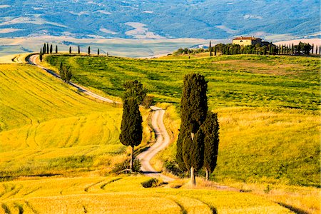 siena province - Rolling Hills in Orcia valley, Tuscany district, Siena province, Italy, Europe. Stockbilder - Lizenzpflichtiges, Bildnummer: 879-09021162
