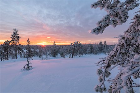 The last lights of the arctic sunset on the snowy woods Vennivaara Rovaniemi Lapland region Finland Europe Stock Photo - Rights-Managed, Code: 879-09021195