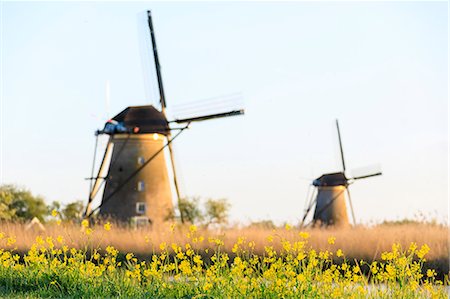 simsearch:879-09034167,k - Traditional Dutch windmills framed by yellow flowers in spring Kinderdijk Molenwaard South Holland The Netherlands Europe Photographie de stock - Rights-Managed, Code: 879-09021235