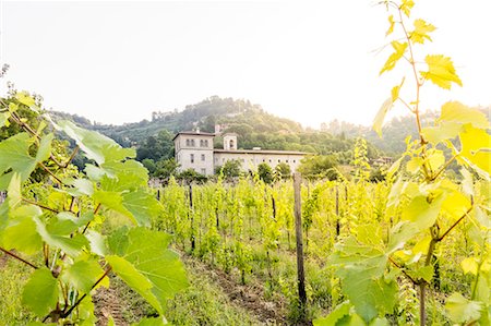 Sunrise on the ancient monastery of Astino surrounded by vineyards Longuelo, Province of Bergamo, Lombardy, Italy, Europe Stock Photo - Rights-Managed, Code: 879-09021244