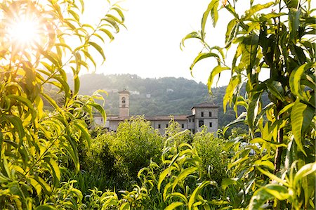 Sunrise on the ancient monastery of Astino surrounded by apple orchards Longuelo, Province of Bergamo, Lombardy, Italy, Europe Foto de stock - Con derechos protegidos, Código: 879-09021245