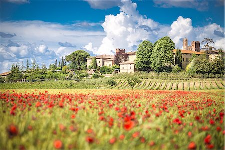 poppy fields blue sky - Typical, little village among Tuscany hills. Siena Contryside, Tuscany, Italy Stock Photo - Rights-Managed, Code: 879-09021357