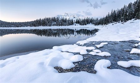 Woods and snowy peaks are reflected in Palù Lake at dusk Malenco Valley Valtellina Lombardy Italy Europe Stock Photo - Rights-Managed, Code: 879-09034145