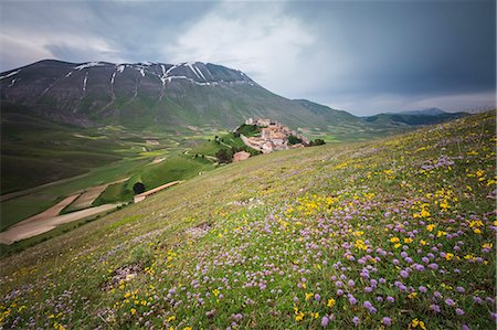 simsearch:6129-09057574,k - Colorful flowers in bloom frame the medieval village Castelluccio di Norcia Province of Perugia Umbria Italy Europe Photographie de stock - Rights-Managed, Code: 879-09034250