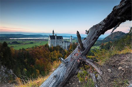 schwangau - Dusk lights on Neuschwanstein Castle surrounded by colorful woods in autumn Füssen Bavaria Germany Europe Stockbilder - Lizenzpflichtiges, Bildnummer: 879-09034315