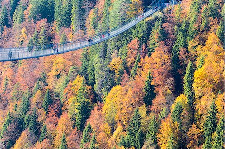 Tourists on the suspension bridge called Highline 179 framed by colorful woods in autumn Ehrenberg Castle Reutte Austria Europe Foto de stock - Con derechos protegidos, Código: 879-09034317
