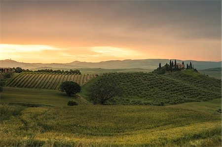 simsearch:879-09191718,k - Sunrise on the gentle green hills of Val d'Orcia province of Siena Tuscany Italy Europe Stock Photo - Rights-Managed, Code: 879-09034349