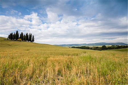 simsearch:6129-09044862,k - Clouds frame the gentle green hills of Val d'Orcia province of Siena Tuscany Italy Europe Photographie de stock - Rights-Managed, Code: 879-09034350