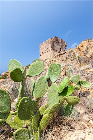Prickly pears frame the ancient Genoese tower built as fortress of defense Porto Southern Corsica France Europe Photographie de stock - Rights-Managed, Code: 879-09034379