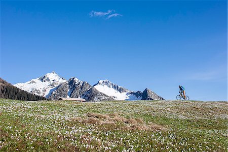 simsearch:879-09034226,k - Mountain bike on green meadows covered by crocus in bloom Albaredo Valley Orobie Alps Valtellina Lombardy Italy Europe Photographie de stock - Rights-Managed, Code: 879-09034392