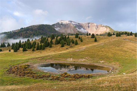 simsearch:879-09033875,k - Mount Peller and lake of Vipers Europe, Italy, Trentino Alto Adige, Trento district, Non Valley, natural Park Adamello Brenta. Photographie de stock - Rights-Managed, Code: 879-09034445