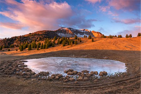 simsearch:879-09021294,k - Monte Peller and Lake of the Vipers in golden hour Europe, Italy, Natural Park Adamello Brenta, Peller mountain, Trentino Alto Adige, Trento district, Non valley Stock Photo - Rights-Managed, Code: 879-09034460