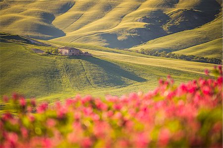 Asciano, Crete senesi, Tuscany, Italy Foto de stock - Con derechos protegidos, Código: 879-09034479