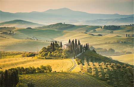 podere belvedere - Podere Belvedere, San Quirico d'Orcia, Val d'Orcia, Tuscany, Italy Stock Photo - Rights-Managed, Code: 879-09034482