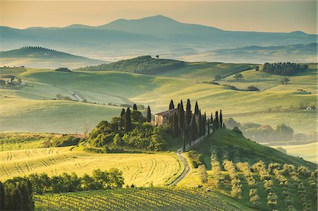 Podere Belvedere, San Quirico d'Orcia, Val d'Orcia, Tuscany, Italy Photographie de stock - Rights-Managed, Code: 879-09034483