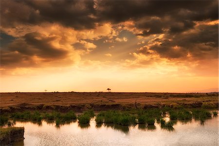 simsearch:879-09021080,k - Masai Mara, Kenya,Africa Photographie de stock - Rights-Managed, Code: 879-09034520