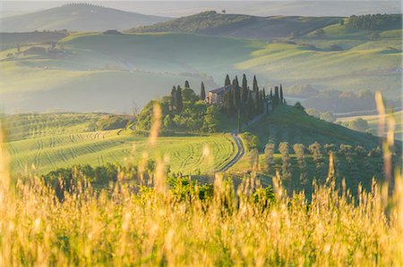 podere belvedere - Podere Belvedere at dawn - San Quirico d'Orcia, Siena Province, Tuscany (Val d'Orcia), Italy, Europe Stock Photo - Rights-Managed, Code: 879-09032791