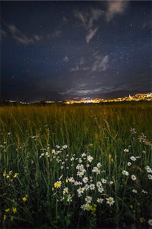 prärie - Italy, Trentino Alto Adige, starry night over prairies of flowery Non valley of daisies. Stockbilder - Lizenzpflichtiges, Bildnummer: 879-09033060