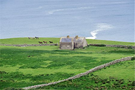 Irish landscape with cottages and horses near Doolin, Munster, Co.Clare, Ireland, Europe. Stock Photo - Rights-Managed, Code: 879-09033242
