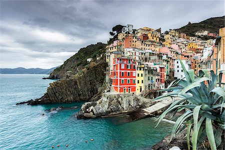 riviera italiana - Riomaggiore, Cinque Terre, Riviera di Levante, Liguria, Italy Fotografie stock - Rights-Managed, Codice: 879-09033276