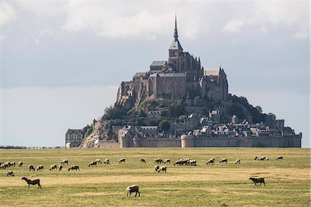 simsearch:879-09033308,k - Sheeps grazing with the village in the background. Mont-Saint-Michel, Normandy, France. Photographie de stock - Rights-Managed, Code: 879-09033308