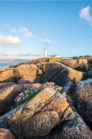 simsearch:6129-09057790,k - Fanad Head lighthouse, County Donegal, Ulster region, Ireland, Europe. Foto de stock - Con derechos protegidos, Código: 879-09033317