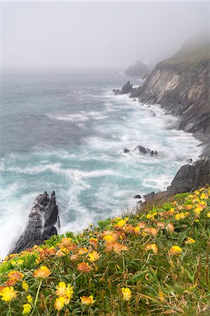 Slea Head, Dingle Peninsula, County Kerry, Munster region, Republic of Ireland, Europe. Stock Photo - Rights-Managed, Code: 879-09033322