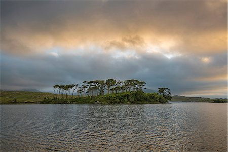 simsearch:6129-09057793,k - Pine Island on Derryclare Lake. Connemara, Co. Galway, Connacht province, Ireland. Foto de stock - Con derechos protegidos, Código: 879-09033345