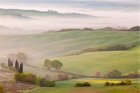 simsearch:879-09191718,k - San Quirico, Orcia valley, Tuscany, Italy. The rolling hills at sunrise seen from Belvedere Stock Photo - Rights-Managed, Code: 879-09033369