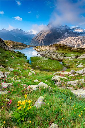 Val Genova, Adamello-Brenta natural park, Trentino-Alto Adige, Italy. The Three Lobbie mountains and Pope Johannes Paul II peak views from the Mandron refuge Stock Photo - Rights-Managed, Code: 879-09033387