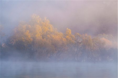 simsearch:879-09129115,k - Brivio, Lecco province, Lombardy, Italy. The fog rises from the Adda river while some trees are illuminated by the first rays of the sun Stock Photo - Rights-Managed, Code: 879-09033388