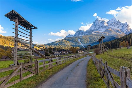 sexten dolomites - Europe, Italy, South Tyrol, Bolzano. Drying racks for hay in the countryside of Sexten valley, Dolomites Photographie de stock - Rights-Managed, Code: 879-09033635