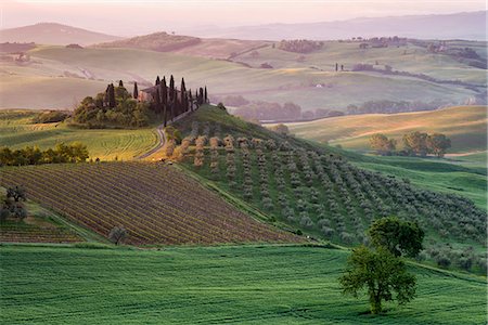 farmhouse landscape - Europe, Italy, Belvedere farmhouse at dawn, province of Siena, Tuscany. Stock Photo - Rights-Managed, Code: 879-09033788