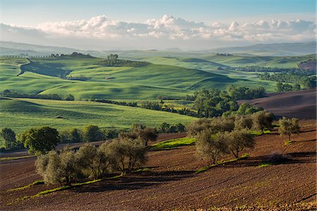 Europe, Italy, Tuscany hills in Orcia valley, province of Siena, Tuscany. Stock Photo - Rights-Managed, Code: 879-09033783