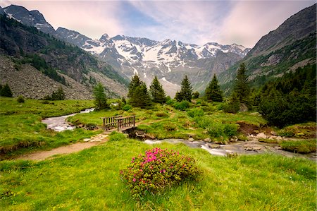 Europe, Italy, Adamello park in province of Brescia. Stock Photo - Rights-Managed, Code: 879-09033826