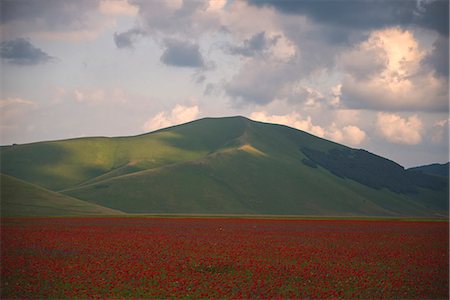 simsearch:879-09034256,k - Europe,Italy, Umbria, Perugia district, Castelluccio of Norcia Stock Photo - Rights-Managed, Code: 879-09033859