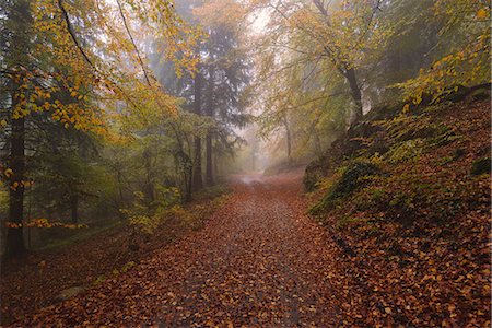 simsearch:879-09033875,k - Autumn in Prealpi, Brescia province, Lombardy district, Italy, Europe. Photographie de stock - Rights-Managed, Code: 879-09033878