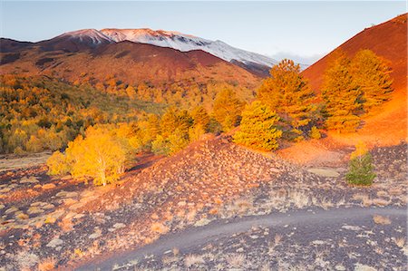 sicily etna - Etna National Park, Catania province, Italy, Europe. Photographie de stock - Rights-Managed, Code: 879-09033898