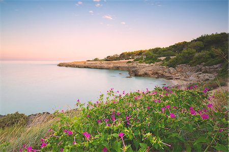 salento - Sunrise in Salento, Taranto province, Puglia district, Italy, Europe. Fotografie stock - Rights-Managed, Codice: 879-09033907