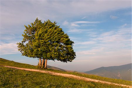 Europe,Italy, Umbria, Perugia district, Sibillini mountains, Castelluccio of Norcia village Stock Photo - Rights-Managed, Code: 879-09043176