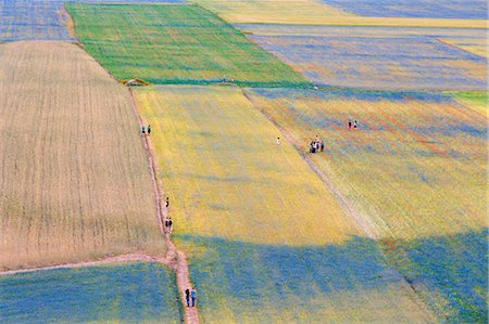 simsearch:700-05389372,k - Europe, Italy,Umbria,Perugia district,Castelluccio of Norcia. Flower period. Stockbilder - Lizenzpflichtiges, Bildnummer: 879-09043240