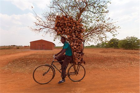 Africa,malawi,Lilongwe district, Mikondo. Carrier wood with bicycle Foto de stock - Con derechos protegidos, Código: 879-09043258