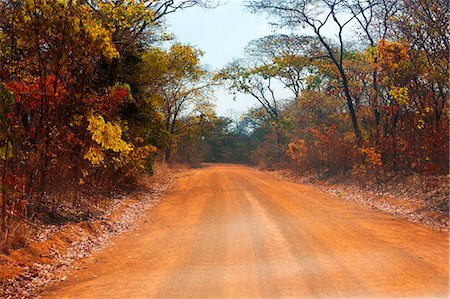 path not people not building not city - Africa,Malawi,Lilongwe district, Kasungu. Kasungu national park. Foto de stock - Con derechos protegidos, Código: 879-09043262