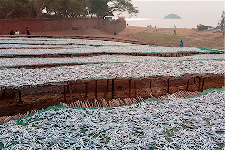 Africa,Malawi,Salima district. Fish Market at Lake Malawi Foto de stock - Con derechos protegidos, Código: 879-09043275