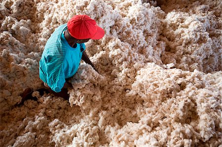 Africa,Malawi,Balaka district. Cotton processing Foto de stock - Con derechos protegidos, Código: 879-09043270