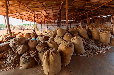 Africa,Malawi,Balaka district. Cotton processing Foto de stock - Con derechos protegidos, Código: 879-09043271