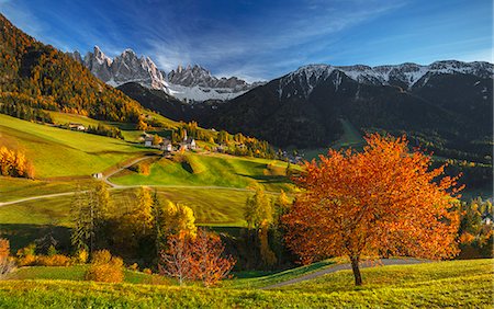 Autumn at the village of Santa Magdalena, Funes valley, Odle dolomites, South Tyrol region, Trentino Alto Adige, Bolzano province, Italy, Europe Foto de stock - Con derechos protegidos, Código: 879-09043324